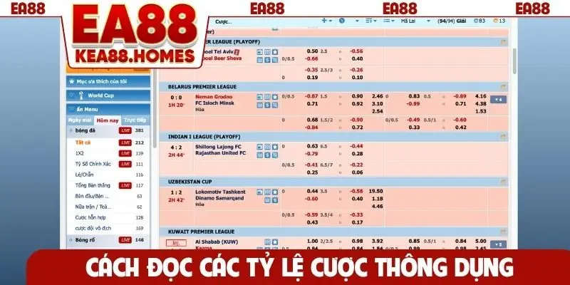 Cách đọc các tỷ lệ cược thông dụng