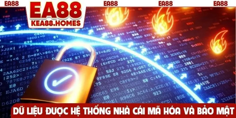 Dữ liệu được hệ thống nhà cái mã hóa và bảo mật tuyệt đối