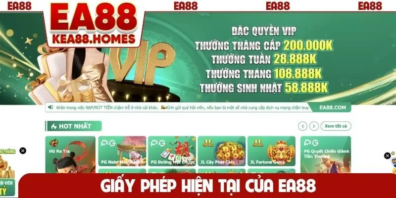 Giấy phép hiện tại của EA88