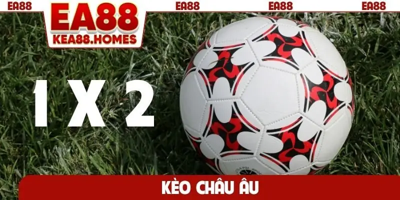 Kèo châu Âu