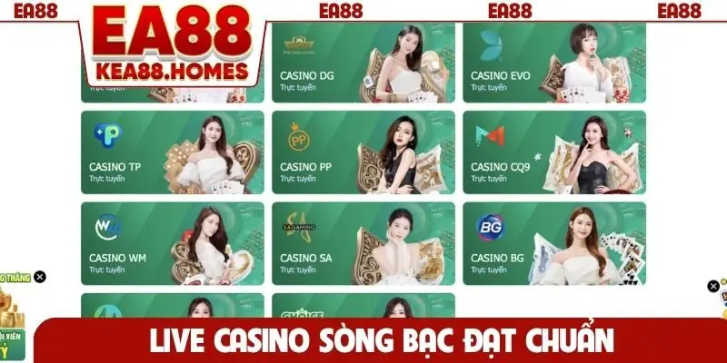 Live casino sòng bạc đạt chuẩn