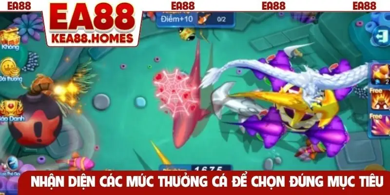 Nhận diện các mức thưởng cá để chọn đúng mục tiêu