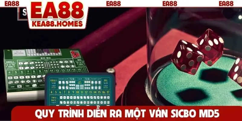 Quy trình diễn ra một ván sicbo MD5